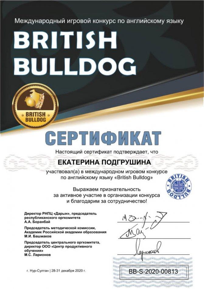 достяжения учеников